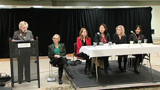 Joint Meeting of the Parks, Seattle Center, Libraries, and Gender Pay Equity Committee and Town Hall Select Committee 12/2/14