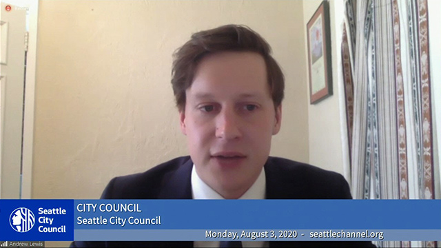 City Council 8/3/20