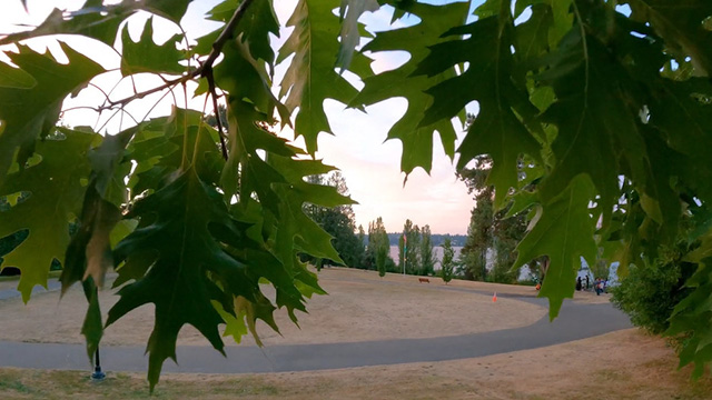 CityStream: Extended Allergy Season