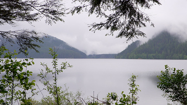 From snow to tap: How Seattle keeps its water pure & protected